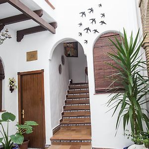 Habitación Individual